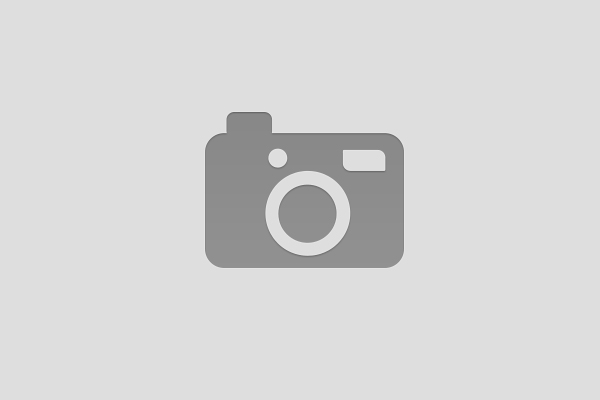 no image no image